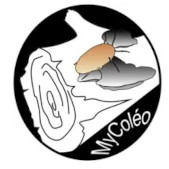 Logo mycoleo