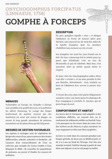 Fiche : Gomphe à forceps