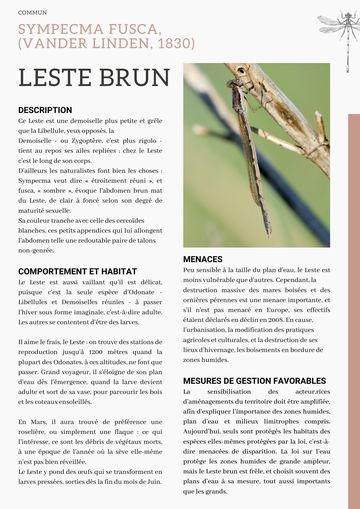Fiche : Leste brun