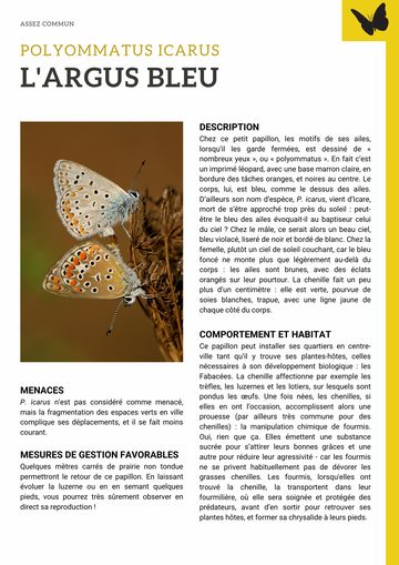 Fiche : Argus bleu