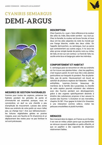 Fiche : Demi-argus