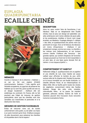 Fiche : Écaille chinée
