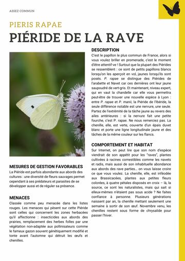 Fiche : Piéride de la rave