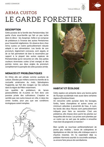 Fiche : Garde forestier