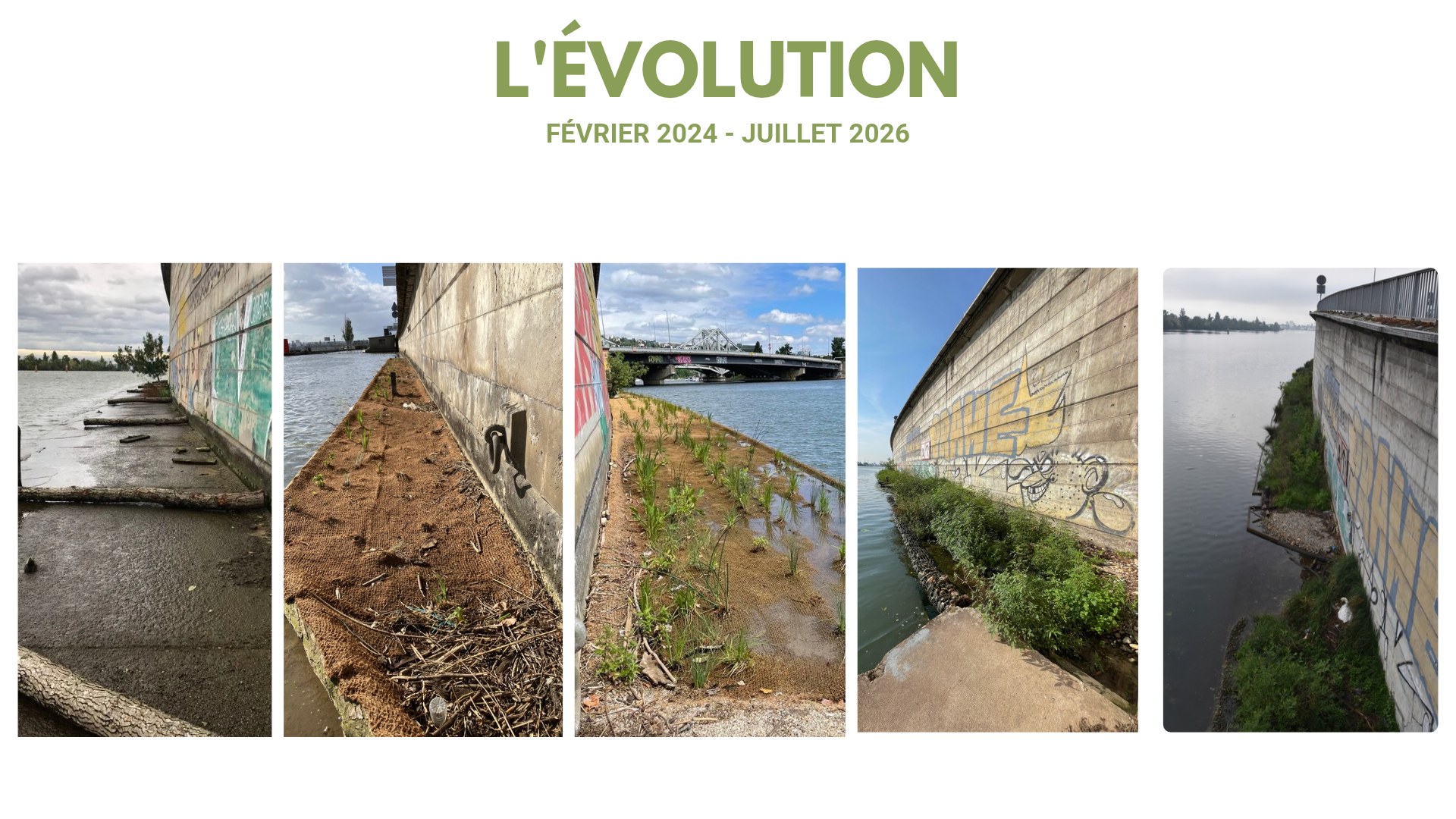 L'évolution du bas-port de La Mulatière, de février 2024 à juillet 2026
