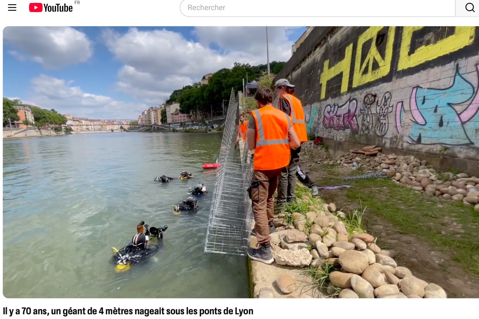Il y a 70 ans, un géant de 4 mètres nageait sous les ponts de Lyon !