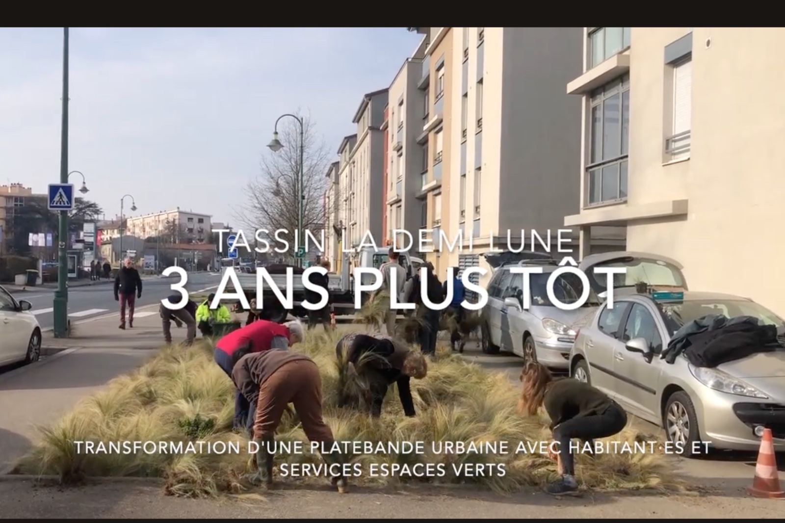Place aux plates-bandes sauvages !